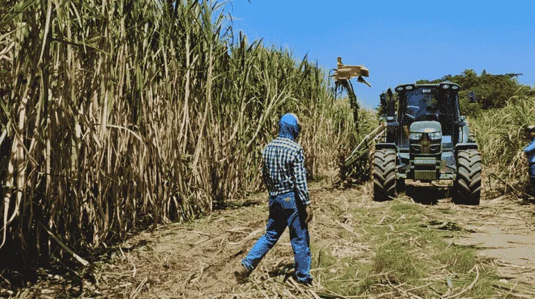 Santa Cruz: Escasez de diésel retrasa en 10% la zafra cañera y productores temen extender la cosecha hasta noviembre