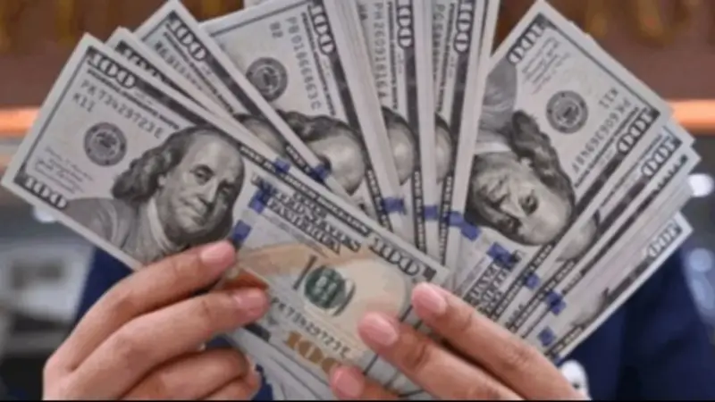 Dólar paralelo sube y se vende a Bs 14.17 este martes en Bolivia
