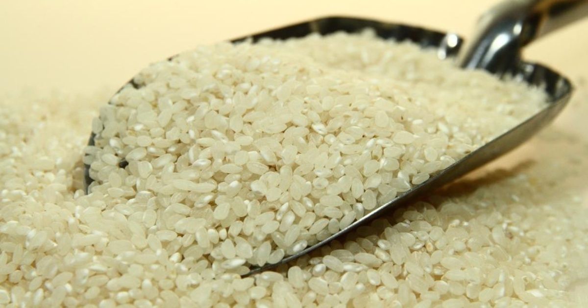 Insumos Bolivia busca recuperar Bs 63 millones por arroz argentino de mala calidad