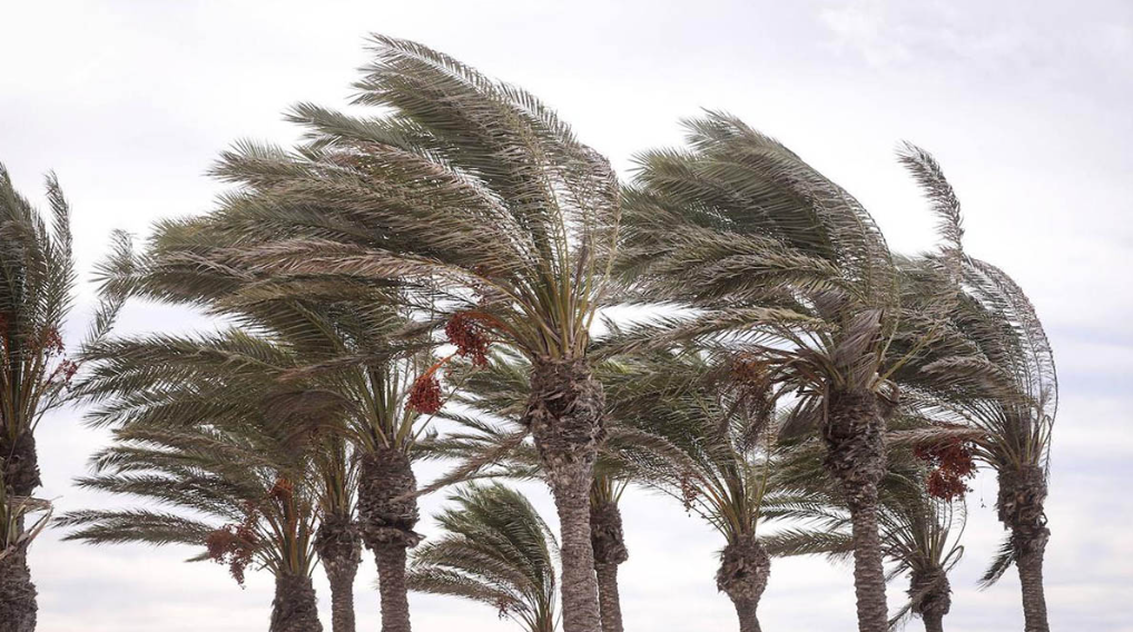 Santa Cruz bajo alerta por vientos que podrían alcanzar los 90 km/h