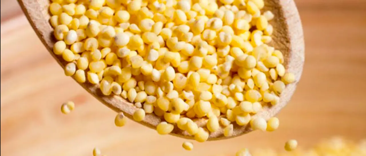 Falta de combustible paraliza industrias de alimento para ganado