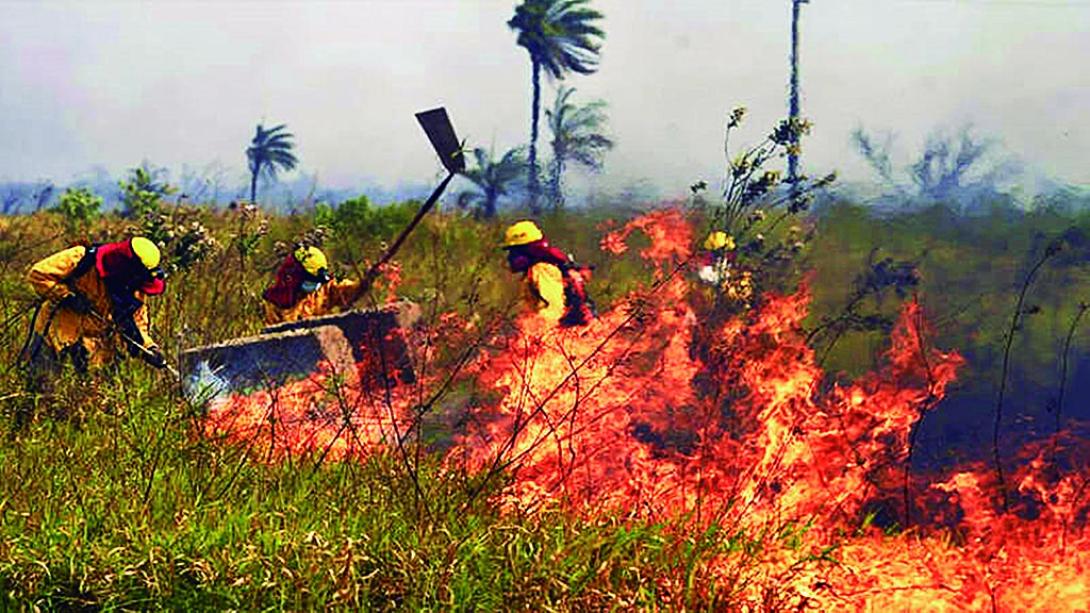 El 90% de los focos de calor en Bolivia se concentra en Santa Cruz
