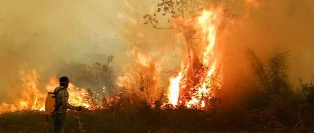 Santa Cruz en alerta amarilla por siete incendios forestales y más de 600 focos de calor