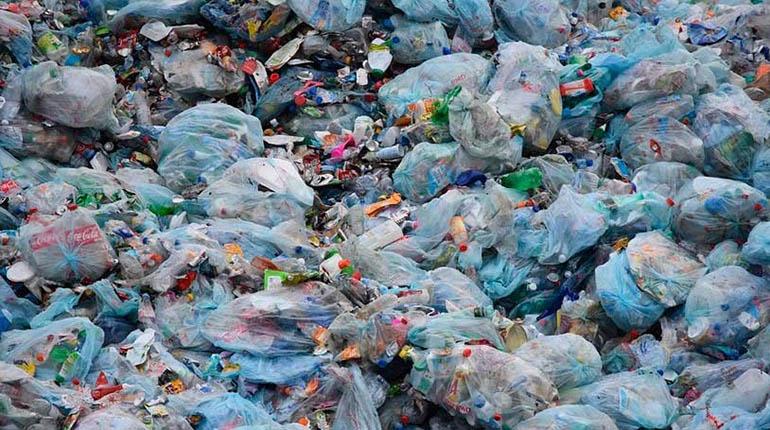 3 de julio: día internacional libre de bolsas plásticas y sin ley vigente en Bolivia