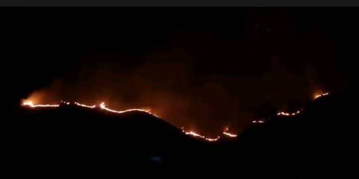 Incendio de magnitud en la serranía de Sama moviliza a autoridades en Tarija