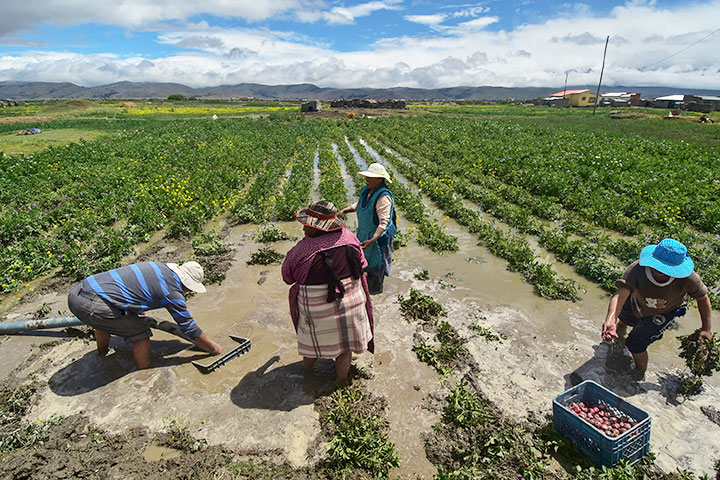 Bolivia conmemora el Día de la Revolución Agraria, Productiva y Comunitaria