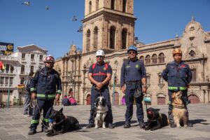 Iron, Loki y Smokie— se graduaron oficialmente como rescatistas especializados en localizar personas atrapadas bajo escombros. / Internet