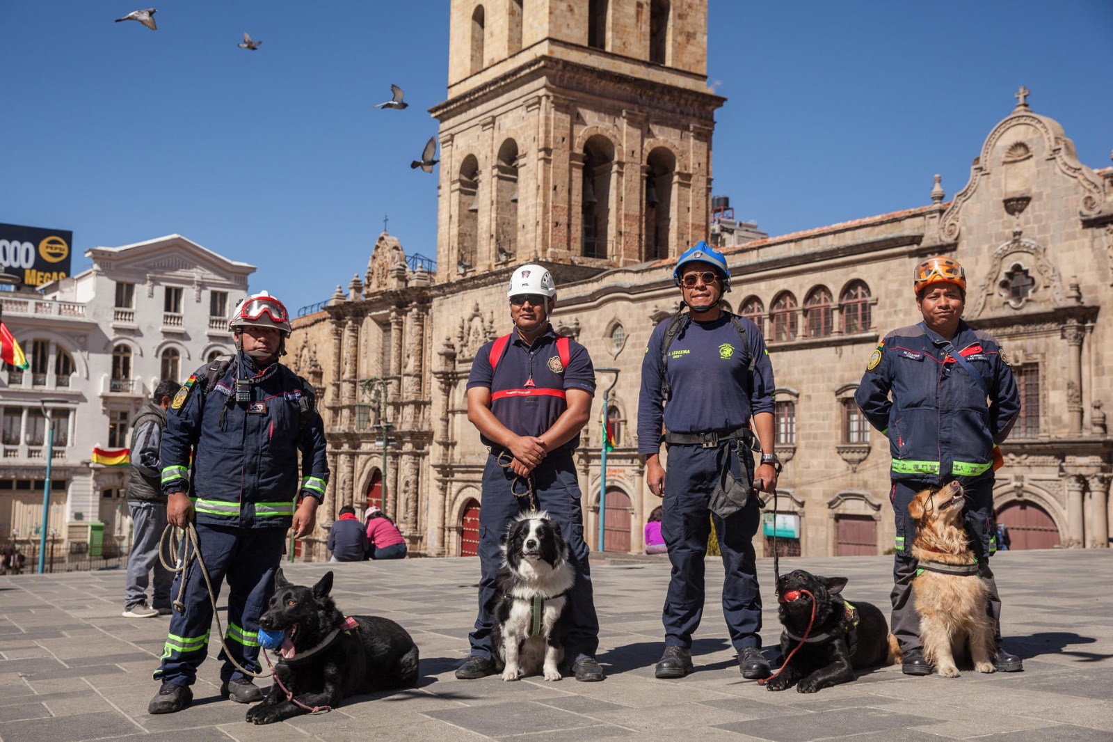 Perros bolivianos se gradúan como rescatistas para buscar personas bajo escombros