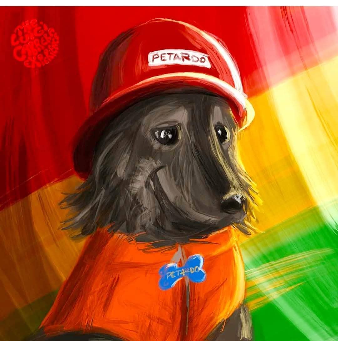 ¿Quién era ‘Petardo’? La historia del perrito que se convirtió en símbolo de Potosí