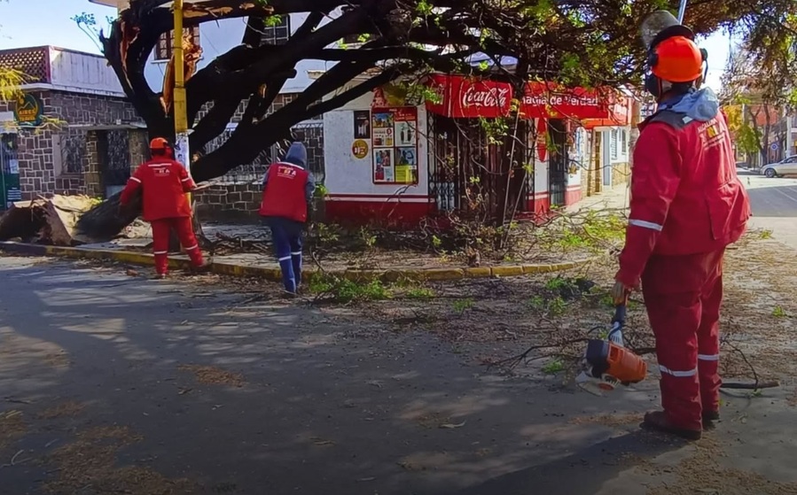 Tarija registra 17 emergencias por vientos huracanados