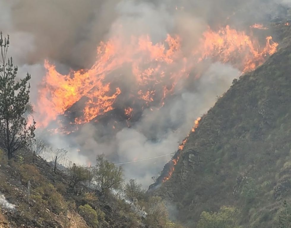 Tarija: Más de 400 bomberos combaten incendio de gran magnitud en la serranía de Sama