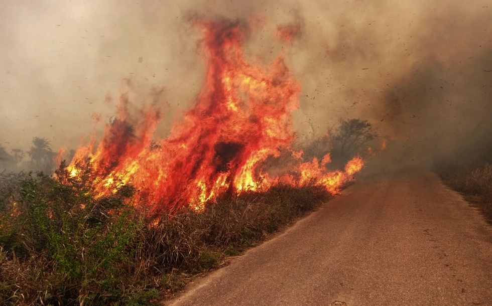 Tribunal Agroambiental cita a Arce por medidas contra incendios