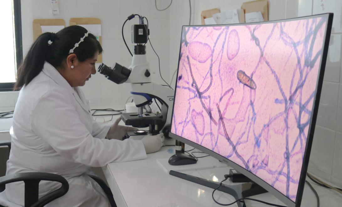 Investigación científica rezagada: solo en 9 de los últimos 28 años Bolivia alcanzó una inversión promedio de 0,3% del PIB