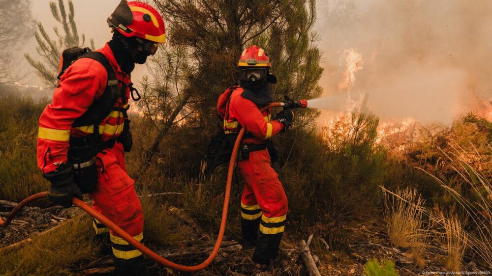 Ola de incendios en España deja un cuarto fallecido: un bombero murió al volcar camión en Castilla y León