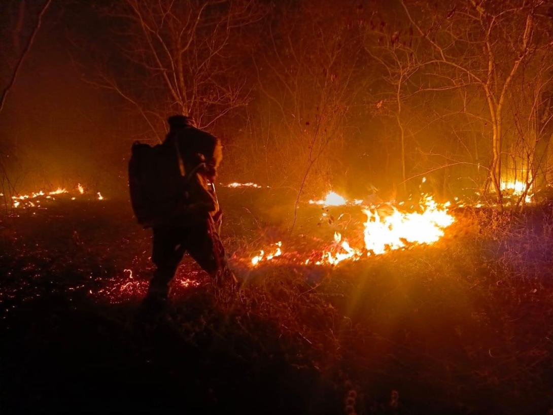 Tribunal Agroambiental fija audiencia para revisar medidas por incendios forestales