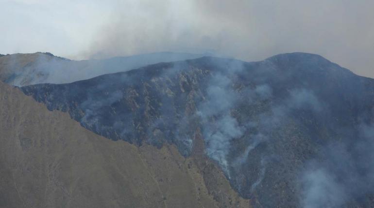 Logran controlar el incendio forestal en el Parque Nacional Carrasco