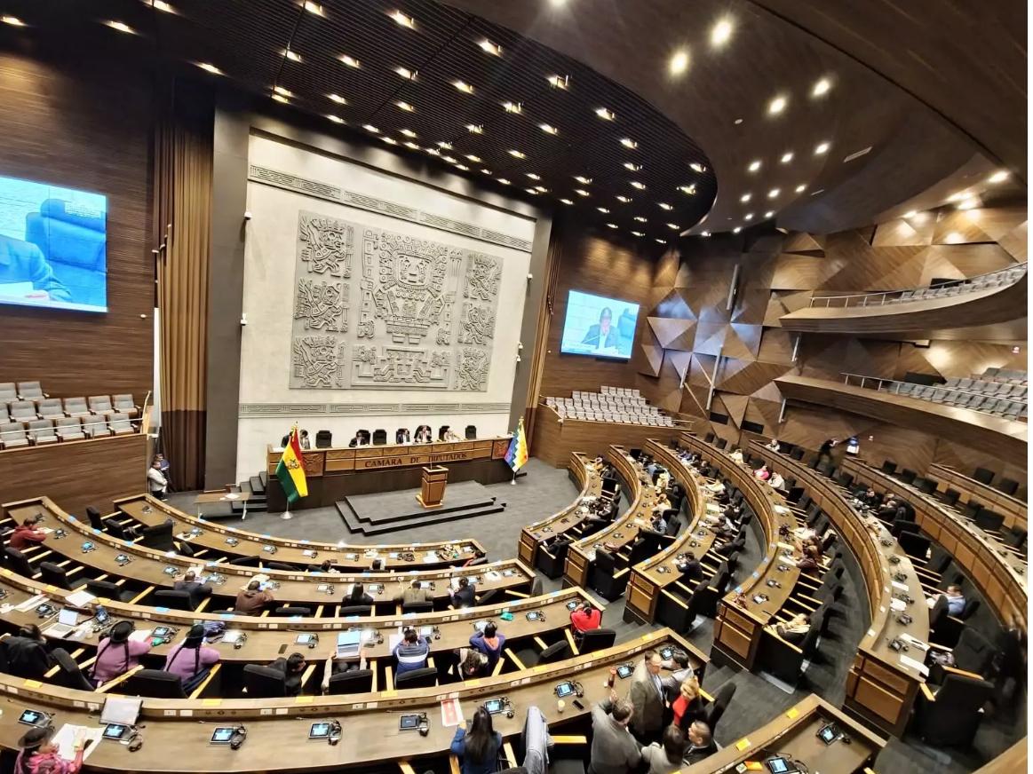 Diputados deben tratar con urgencia la ley para elegir a nuevos vocales del TSE