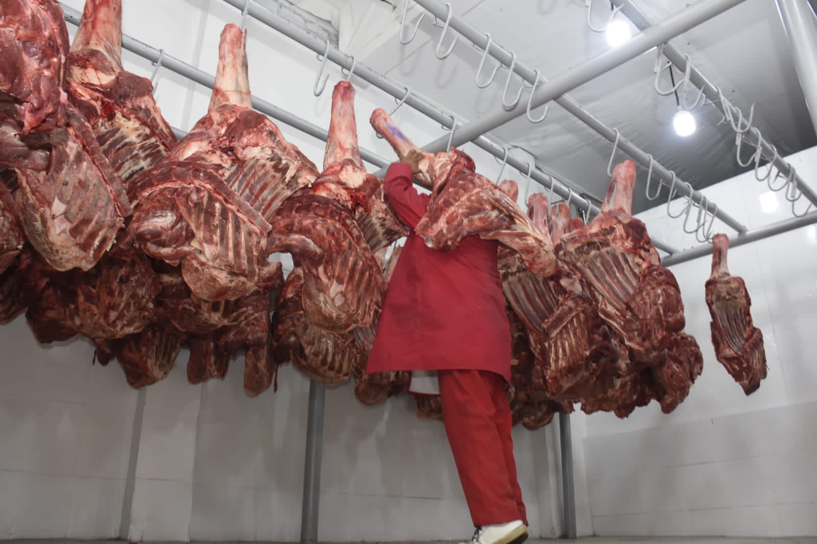 Bolivia prepara primer envío de carne a Egipto con excedente de 100.000 toneladas