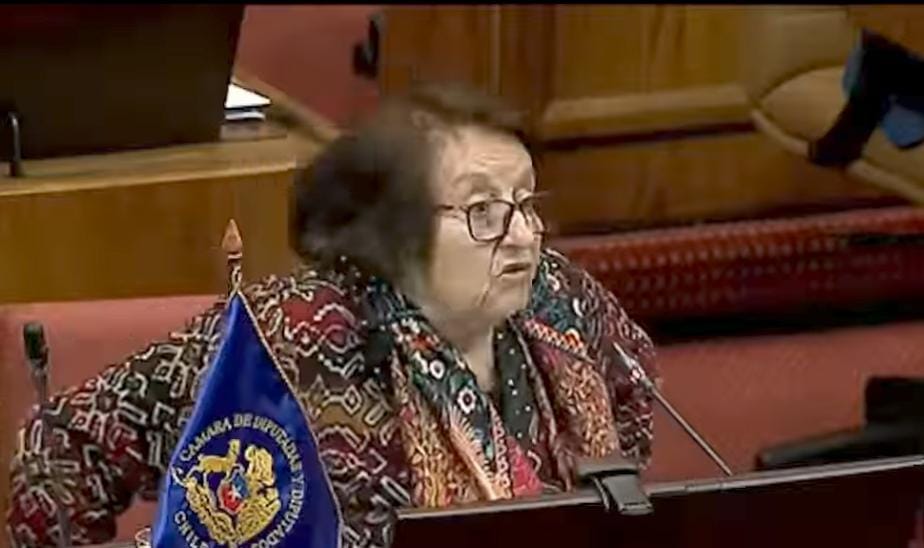“Los bolivianos tienen disminución de oxígeno cerebral”, la polémica declaración de diputada chilena