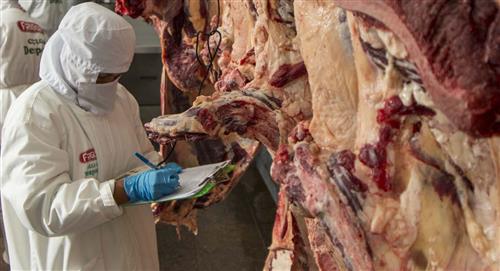 Egipto autoriza exportación de carne bovina boliviana tras certificación del Senasag