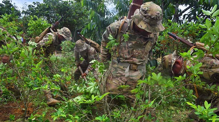 Gobierno anuncia ingreso de brigadas de erradicación al trópico de Cochabamba a fines de septiembre