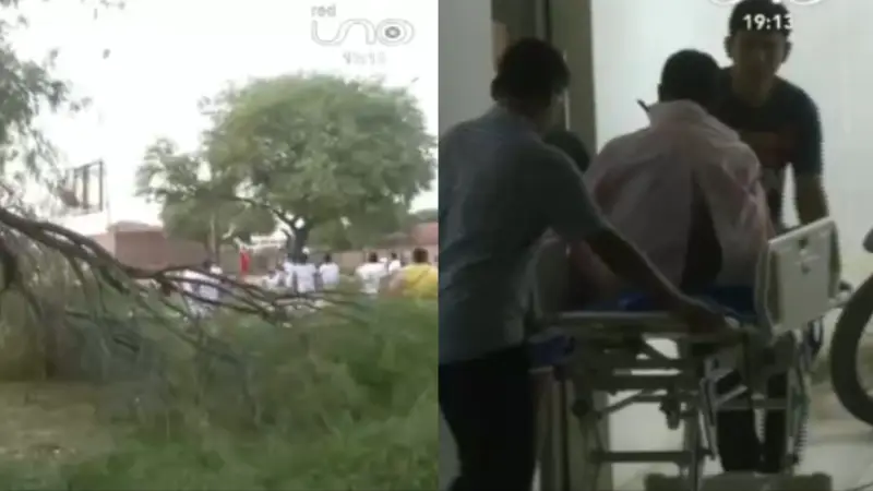Adulto mayor resulta herido tras caída de una rama en una cancha de Santa Cruz