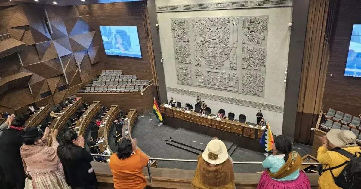 Cámara de Diputados aprueba ley para proteger a hijos huérfanos de feminicidios incluye un bono de Bs 500