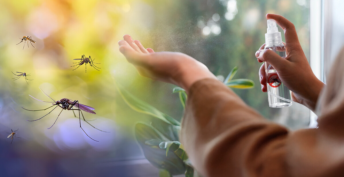 Cobija activa micro campañas de limpieza para prevenir el dengue