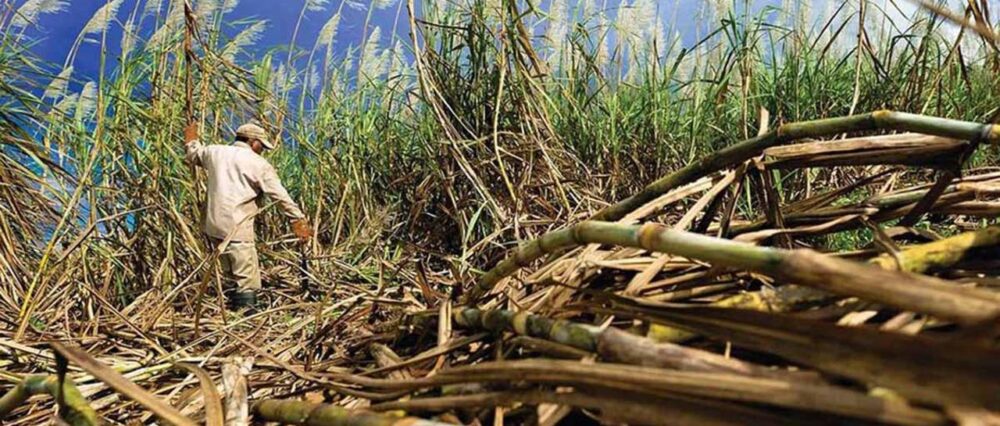 Cañeros exigen pagos atrasados del plan de etanol y cumplimiento de compromisos de YPFB