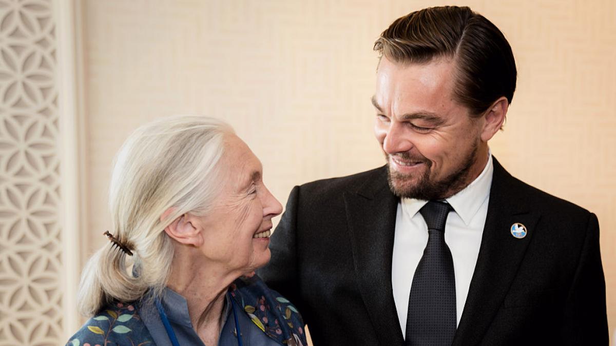 Leonardo DiCaprio rinde homenaje a Jane Goodall tras su fallecimiento