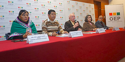 El 22 de marzo serán las elecciones subnacionales