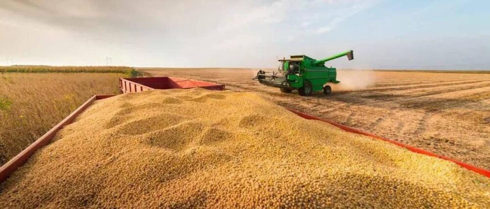 Productores de San Juan advierten con bloqueos si no mejora el abastecimiento de diésel y el precio de la soya