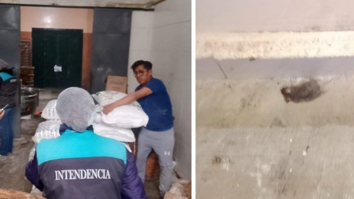 Inspección revela ratón muerto en horno de dirigente panificador de La Paz