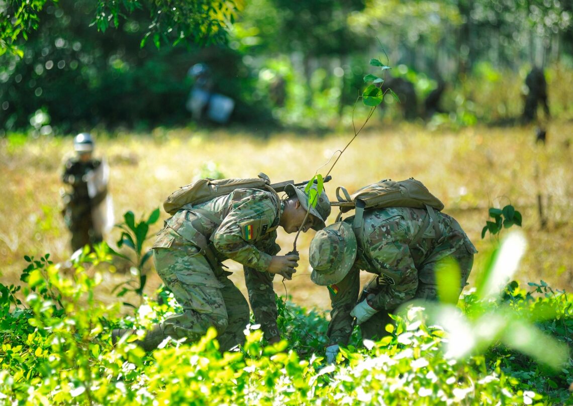 UNODC reporta incremento del 10% en cultivos de coca en Bolivia