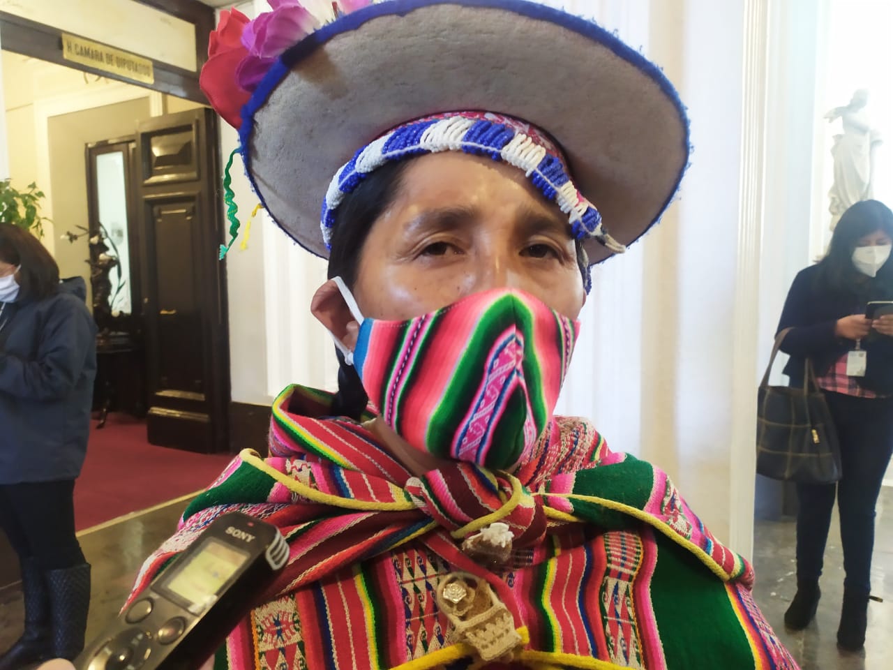 Rechazan acción de libertad y avanza audiencia cautelar contra Lidia Patty por el caso Fondo Indígena