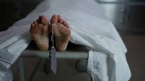 Mujer muere por influenza A H3N2 y se investiga posible presencia de la variante K en Bolivia