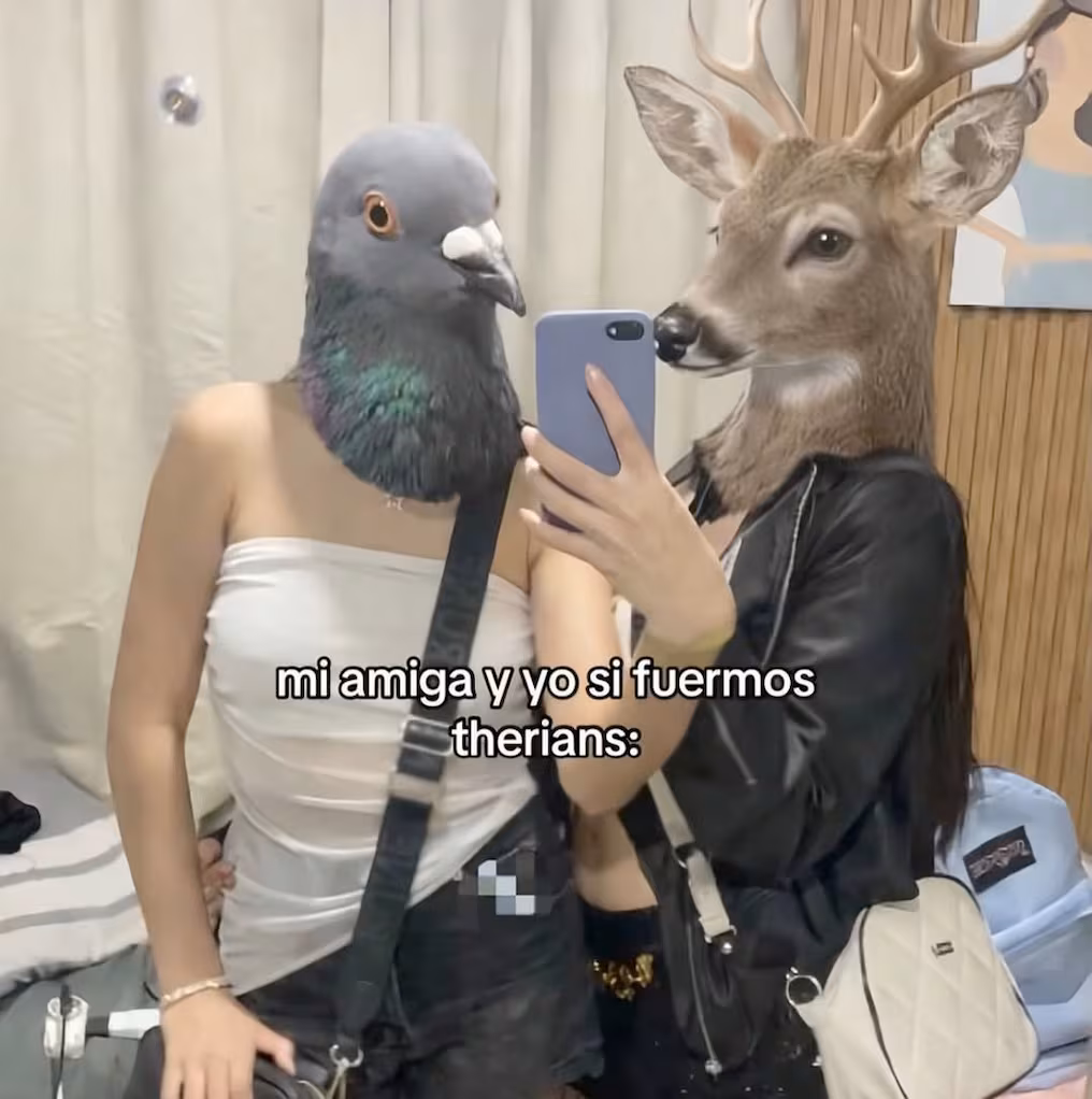 Memes sobre therians invaden redes y abren debate sobre identidad digital