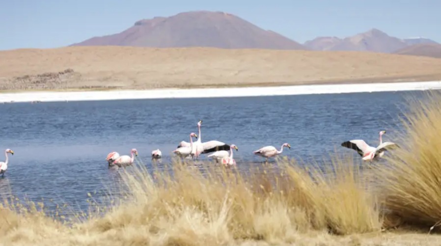 Gobierno presenta la Marca Destino Salar de Uyuni y Lagunas de Colores