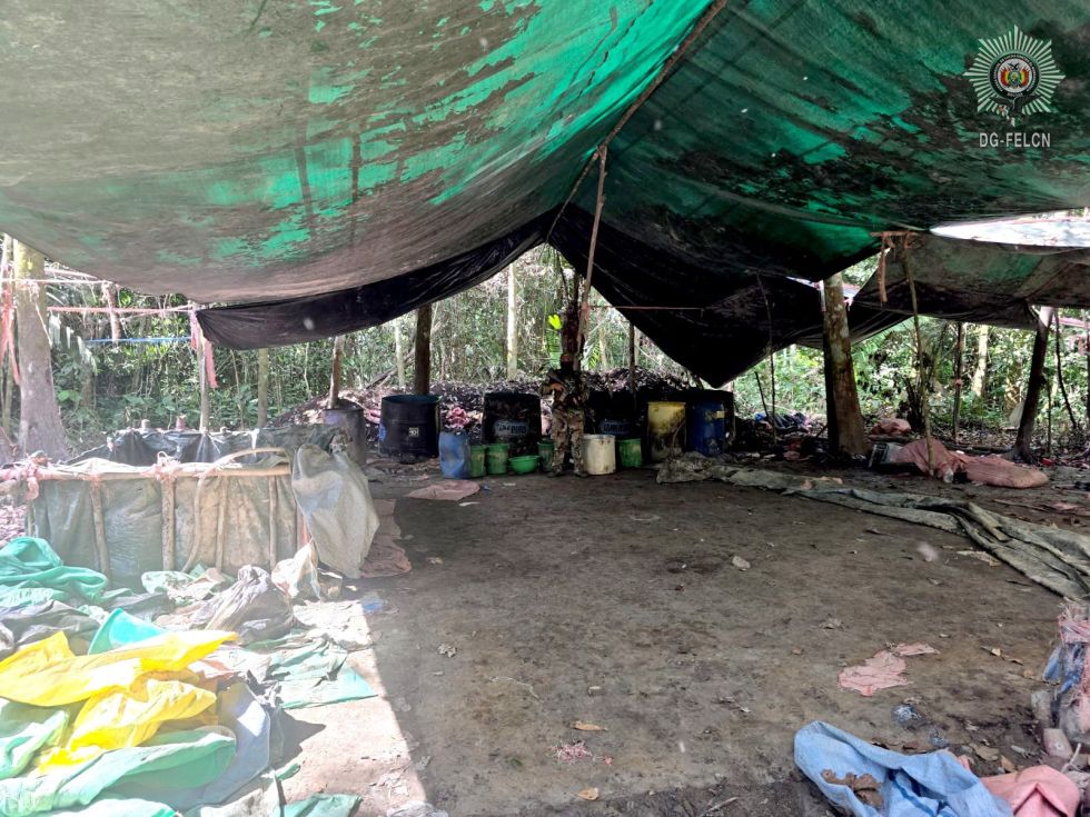 Operativos del Plan Carnaval incautan toneladas de droga en el país