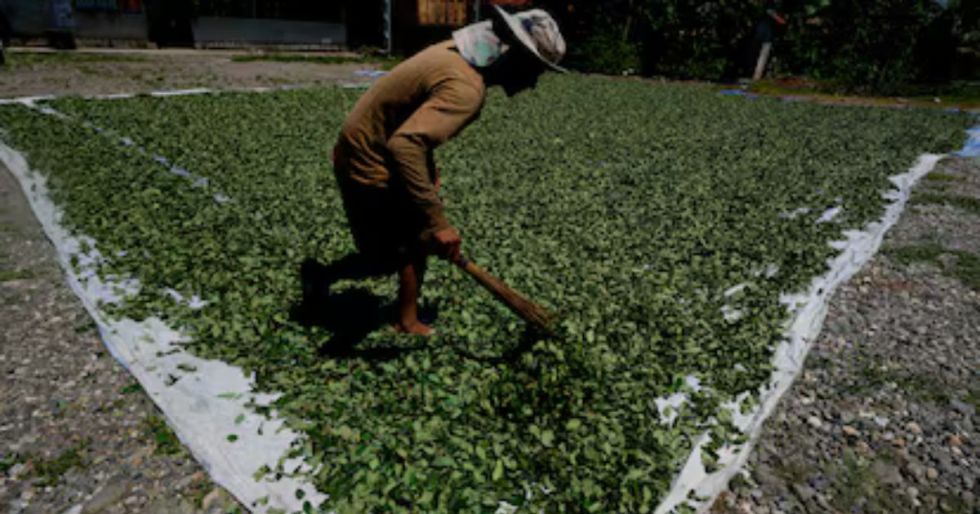 Bolivia pide cooperación internacional para frenar la financiación del narcotráfico