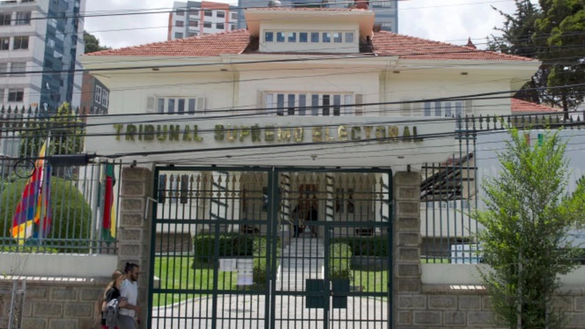 TSE habilita sistema para solicitar permisos de circulación vehicular para las Elecciones del 22 de marzo