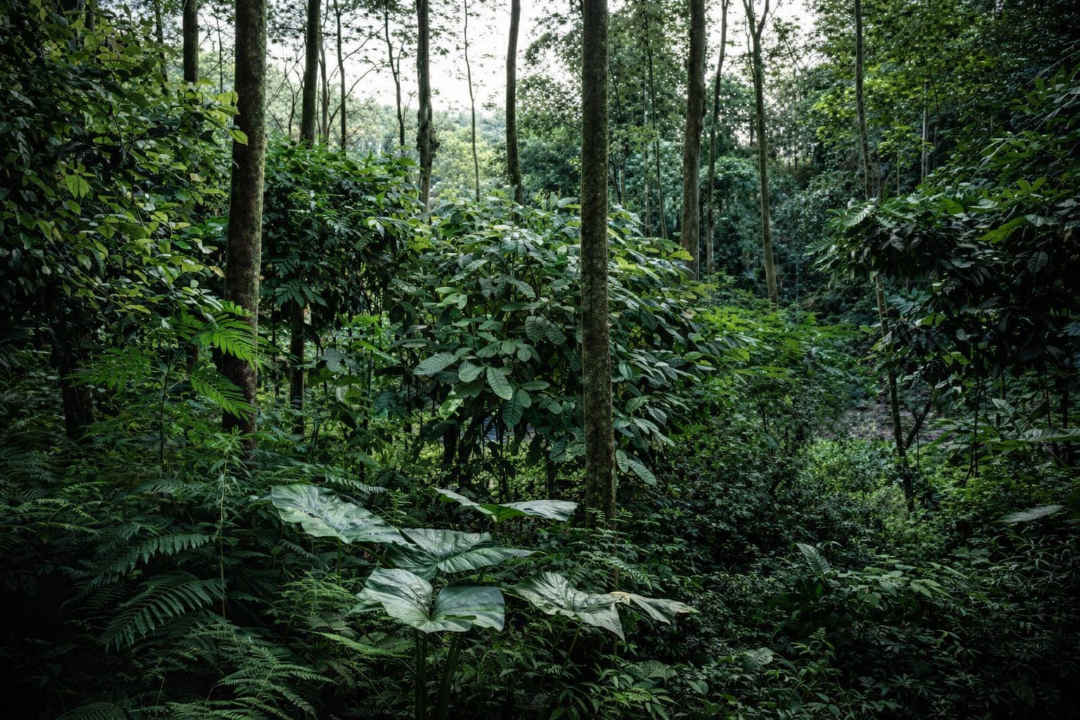 La Paz: Buscan a madre e hijo desaparecidos tras un accidente en los Yungas