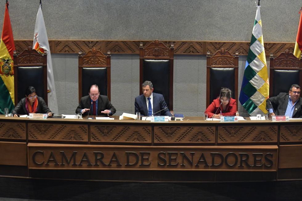 Senador plantea interpelar a tres ministros por accidente aéreo y billetes de la serie B