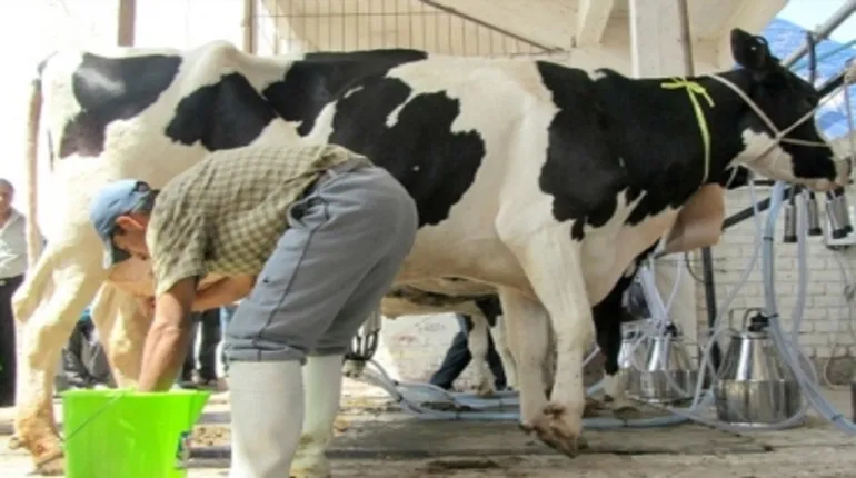 Gobierno libera precio de la leche y lo deja en manos del mercado