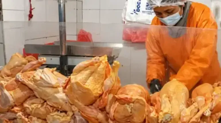 El kilo de pollo alcanza los 18,80 bolivianos en los mercados de La Paz
