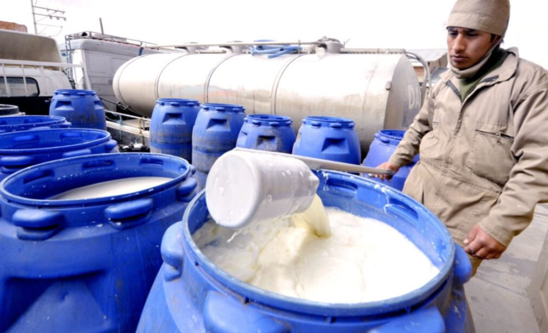 Gobierno y CNI impulsan agenda para fortalecer la cadena lechera en Bolivia