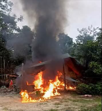 Felcn incinera más de una tonelada de droga en el Chapare