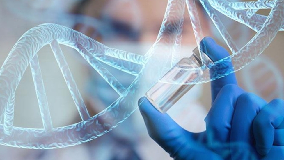 Proyecto de ley busca garantizar diagnóstico y tratamiento integral para enfermedades raras en Bolivia