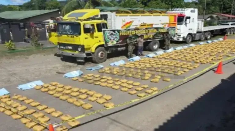 Interceptan casi media tonelada de marihuana oculta bajo ladrillos en el trópico