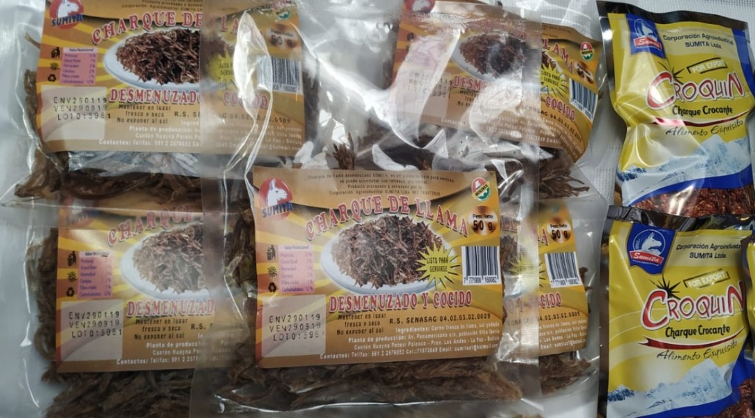 Sector camélido enfrenta fragilidad estructural por falta de políticas y tecnología